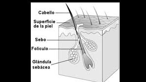 La Masturbacion Causa Acne Quora