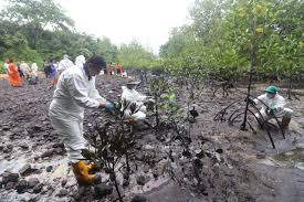 Hutan simpan paya bakau sungai pulai (spmfr) merupakan sistem hutan paya bakau terbesar di negeri johor. Kerajaan Negeri Nafi Hutan Paya Bakau Tanjung Tuan Nazak