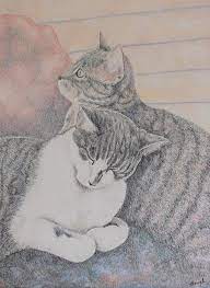 Two Cats Cuddling Drawing By Tanya Hough I have used faber castell polychromos and caran dache luminance pencils on extra. two cats cuddling by tanya hough