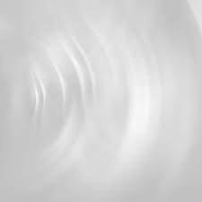 A N N U A L R E P O R T 2 0 0 6 • 0 7