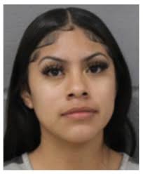 APD Makes Several Arrests in Shoplifting Blitz Operation