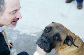 Pet cancer facility expands in Norwalk