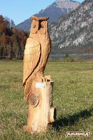 Immer wieder werden wir gefragt, welchen unterschied es eigentlich zwischen den beiden bezeichnungen kettensäge und motorsäge gibt. Eule Material Fichte Motorsage Holz Carving Owl Chainsaw Schnitzen Motorsage Motorsagla Austri Schnitzen Mit Der Kettensage Baum Skulptur Motorsage
