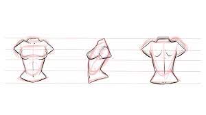 Female body anatomy sketch at paintingvalley com explore. How To Draw The Female Torso Creating A Dynamic Character Patricia Caldeira Skillshare