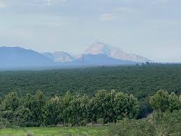 Peru and colombia will also meet later this month as part of the group stage at copa américa, which was moved from colombia and argentina to brazil in a late switch by conmebol. Peruvian Avocado Companies Look To Colombia For Land After New Law Approved