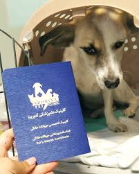 گالری آدورینایی ها - نژاد های مختلف | کلینیک آدورینا