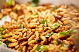 All'interno della fattoria è inoltre possibile fare incetta di deliziosi biscotti con grilli al cioccolato. Gli Insetti Per Uso Alimentare In Italia Sono Vietati Lo Dice Il Ministero Della Salute Gambero Rosso