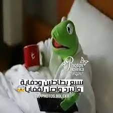 اي والله برد يشيب الأقرع 12 fun quotes funny funny dude arabic funny