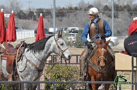 Pin On Quarter Horse