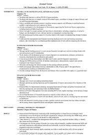 Get visual resume and impress recruiter in 6 sec. Finance Senior Manager Resume Samples Velvet Jobs