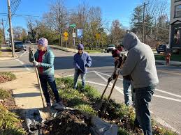 Tree planting season has returned