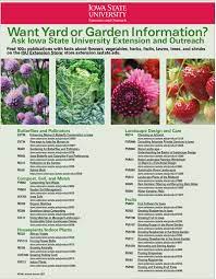 The structures and displays are always. Extension Store