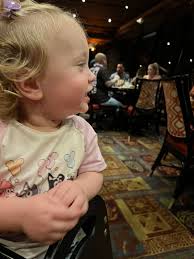 Walt Disney World Trip Review: Food Allergies, Dining Plans, and Park Days