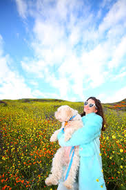 This month, the hillsides of lake elsinore, california have experienced a superbloom of poppies, causing, as one might imagine in the year 2019, a. Lake Elsinore Walker Canyon Poppy Fields How To Get The Best Photos Kelly Golightly
