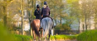 Parc De Maisons Laffitte Cavaliers Regles De Securite Dans Le Parc