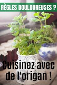 10 Plantes Qui Soignent Et Laquelle Utiliser Selon Vos Symptomes Origan Plante Herbes Aromatiques