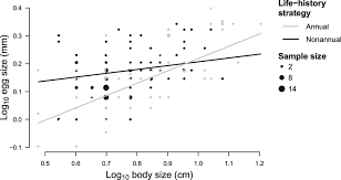 relationship between log 10 transformed body size and log