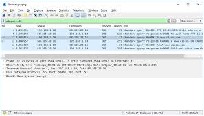 3 8 8 Lab Explore Dns Traffic Answers