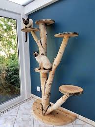 15 Best Outdoor Cat Tree Ideas And Plans In 2020 Diy Cat Tree Custom Cat Trees Outdoor Cat Tree