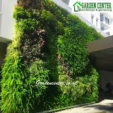 Secara umum, taman vertikal dibedakan menjadi dua: Vertical Garden Desain Cara Membuat Tanaman Manfaat