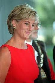 Princess Diana Princess Diana Hair Princess Diana Family Princess Diana