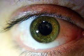 6 Rare And Unique Eye Colors Beautiful Green Eyes Hazel Green Eyes Rare Eye Colors