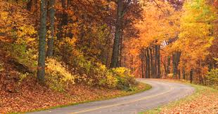 The blue ridge health district (brhd) is one of 35 health districts under the virginia department of health. Easy Ways To See Fall Colors In Virginia S Blue Ridge Roanoke Va