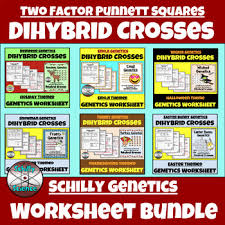 Looking for a punnet square monohybrid cross worksheet? Dihybrid Cross Worksheet Bundle Two Factor Punnett Squares By Schilly Science