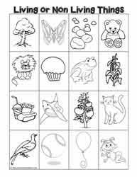 We did not find results for: Living And Non Living Things Worksheets
