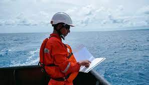 What Are The Duties Of Ship Safety Officer (Sso)?