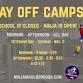Veterans Day Ninja Camp event in Marlborough, MA