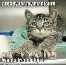 Or Better Yet Resembles A Client With An Overdue Pedi And Of Course Has No Shame In Their Game Lol