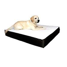 Majestic Pet Orthopedic Double Pet Bed Don T Get Left Behind See This Great Dog Product Dog Beds And Furniture Dog Pet Beds Majestic Pet Double Dog Bed