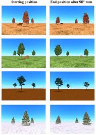 More images for visual snow syndrome mild » Frontiers Egocentric And Allocentric Spatial Memory In Korsakoff S Amnesia Human Neuroscience