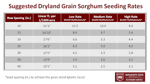 62 Proper Seed Germination Rate Chart