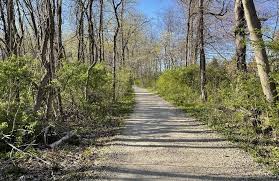 Waveny Trail, Connecticut