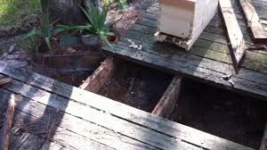To repel them, you'll have to spray with either the cypermethrin or the insect repellent. Honeybee Removal 004 Bees Under Deck 09 07 2012 Youtube