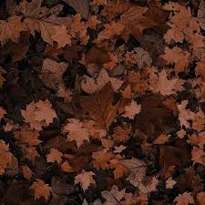 Visualizza altre idee su colore verde acqua, verde, acqua. Pin By Naomi Shaw On Aesthetic Aesthetic Painting Brown Aesthetic Aesthetic Wallpapers