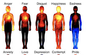 Mapping Emotions In The Body A Finnish Neuroscience Study