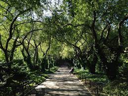 Apr 28, 2021 · originally designed by calvert vaux and built in 1870 to house the sheep that grazed in central park's sheep meadow, it has proudly served visitors, locals, presidents, royalty, artists, and actors since 1934. Central Park Conservatory Garden Nyc Arts