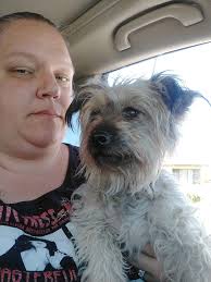 Bella (female) is still missing since 6/7 from Paramount/Downey area.  Please contact me if seen 3106344732. She is chipped and fully vaccinated.  Thank you so much in advance to all!