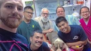 Steven Borja arrested in animal cruelty case