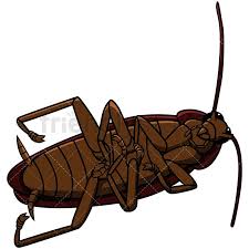 dead cockroach cartoon vector clipart friendlystock ant art cartoons vector clip art dead cockroach cartoon vector clipart