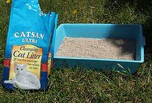 An exclusive cat litter formula made from the fibrous material of the walnut shell, naturally fresh neutralizes litter box odors better than clay, pine, corn, and wheat litters. Litter Box Wikipedia
