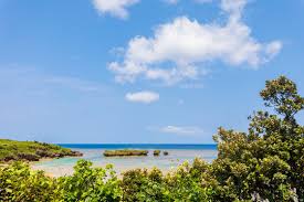This star sand beach in okinawa is a great destination.i used insta 360. Hoshizuna Beach Shooting Location Is Iriomote Island Okinawa Prefecture Japan Stock Photo Adobe Stock