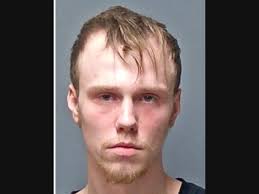 Rottweiler Puppy Recovered After Police Say Man Ran Off With It