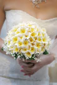 Frangipani Flower Bridal Bouquet Frangipani Wedding Plumeria Bouquet Beach Wedding Decorations Reception