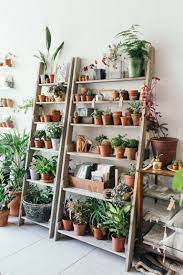25 Best Indoor Garden Ideas For Your Home In Small Spaces Indoor Plant Shelves Room With Plants Plants