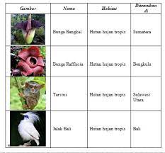 Ahli bahasa dengan kategori sangat baik dan presentase ideal sebesar 82 %. Materi Biologi Kelas X Sma Keanekaragaman Hayati Blog Guru Biologi