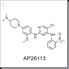Image result for ALK Inhibitor